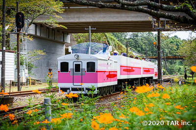 グランドスーパーカート